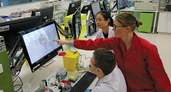 ld乐动体育I网址